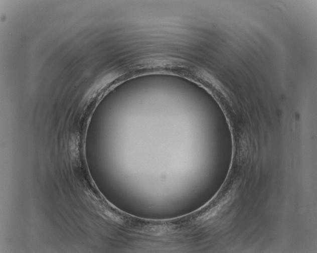 X0000062670778200512230946