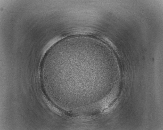 X0000062670779200512230946