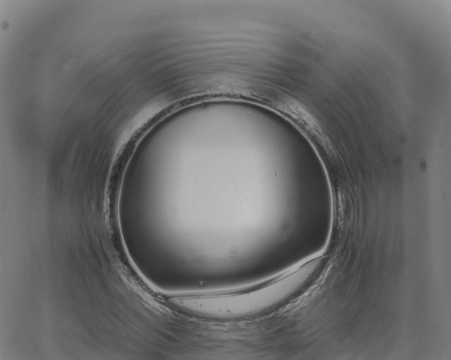 X0000062670780200512230946