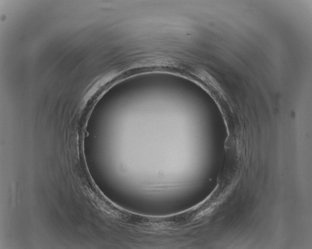 X0000062670781200512230946