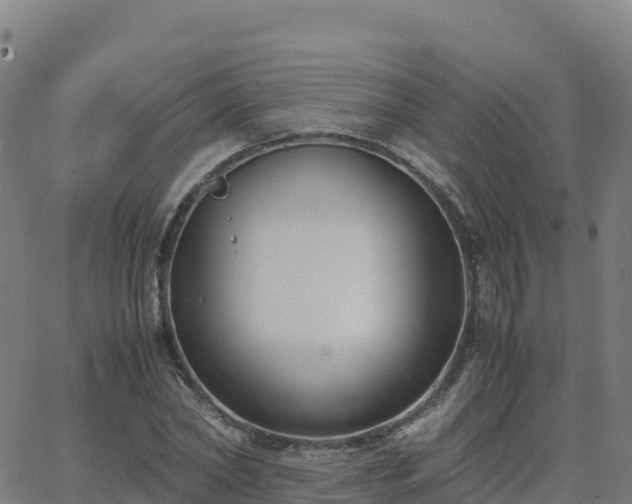 X0000062670782200512230946