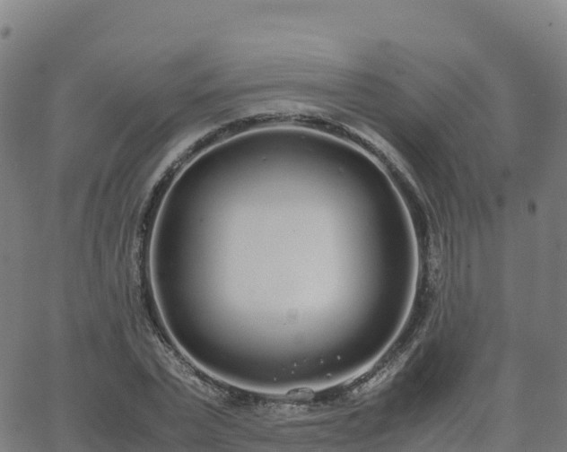 X0000062670783200512230946