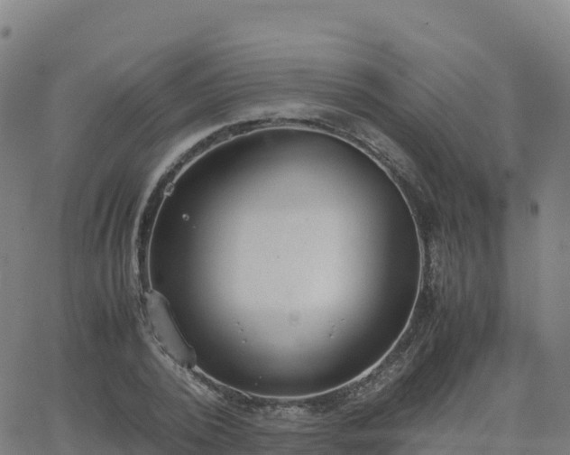 X0000062670784200512230945