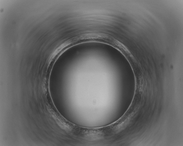 X0000062670786200512230945