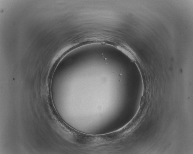 X0000062670787200512230945