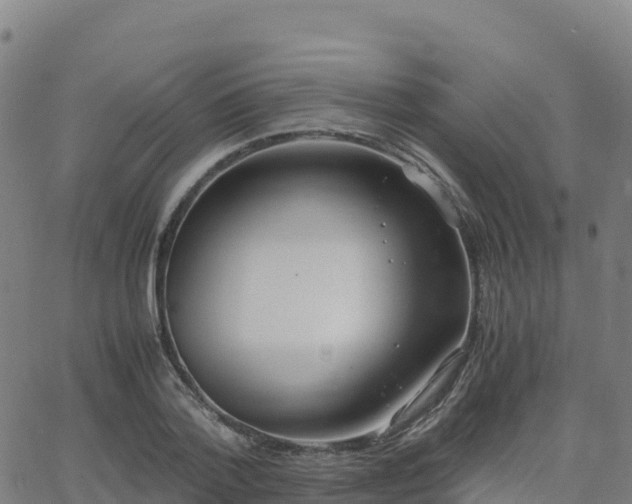 X0000062670788200512230945