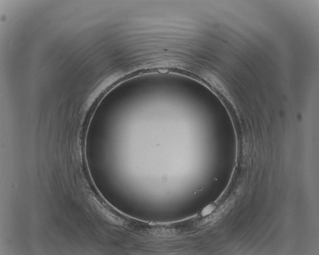 X0000062670789200512230945