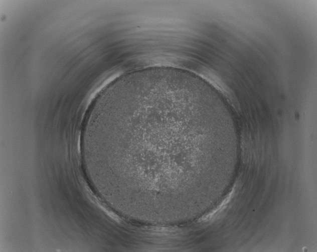 X0000062670790200512230945