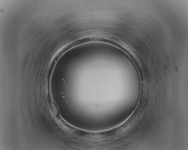 X0000062670791200512230945