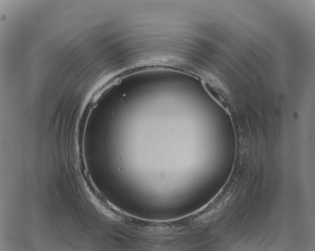 X0000062670792200512230945