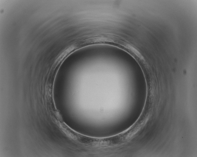 X0000062670793200512230945