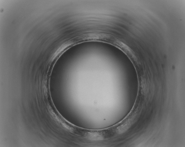 X0000062670794200512230945