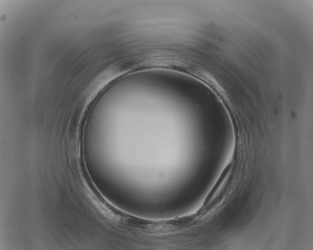 X0000062670795200512230945