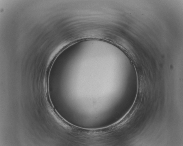 X0000062670796200512230945