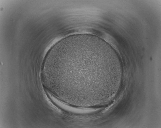 X0000062670797200512230945