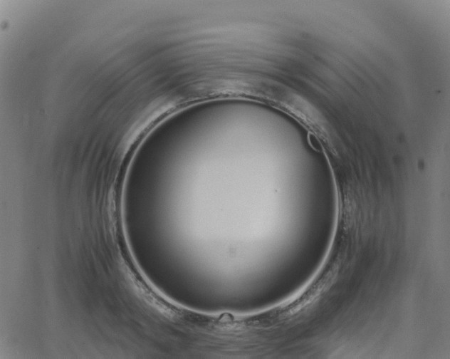 X0000062670798200512230945