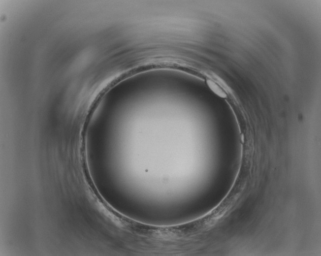 X0000062670799200512230945