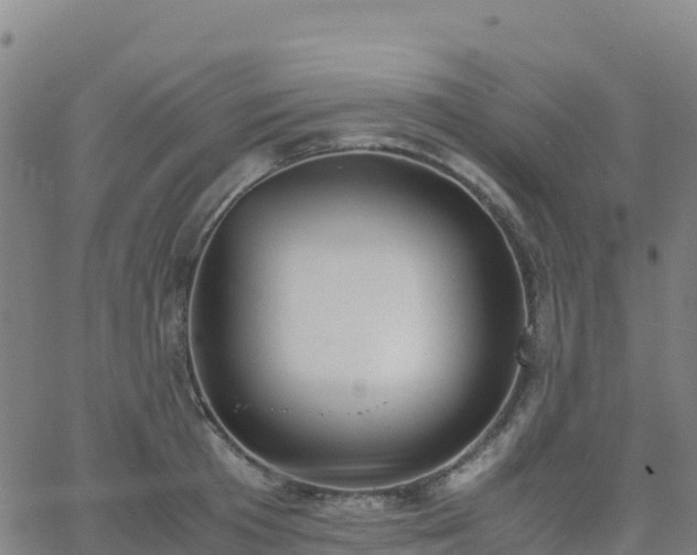 X0000062670801200512230945