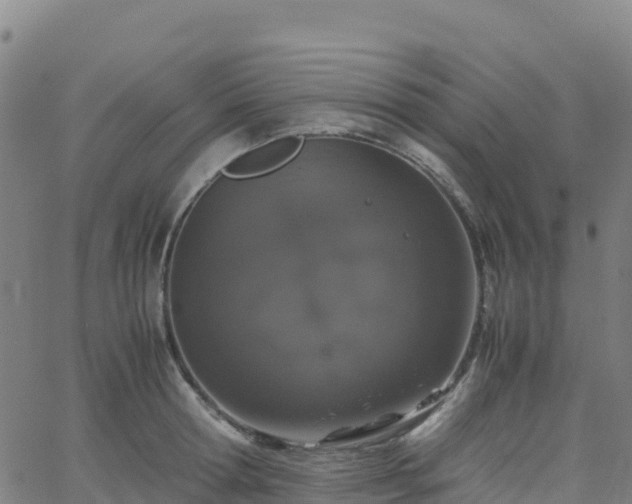 X0000062670802200512230945