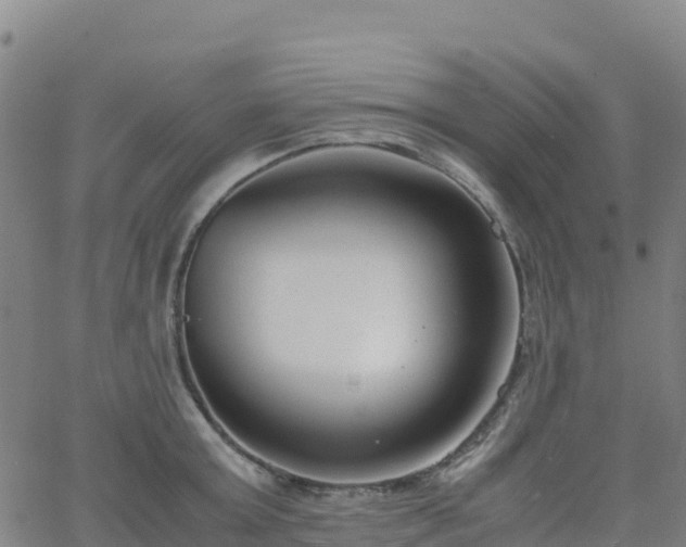 X0000062670803200512230945