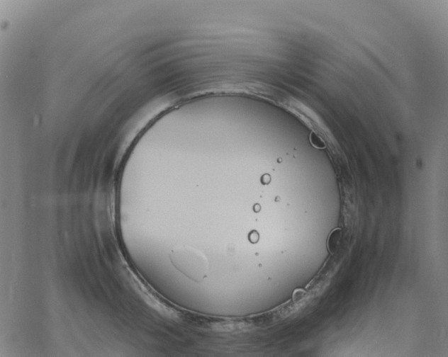 X0000062670804200512230945