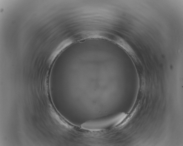 X0000062670806200512230945