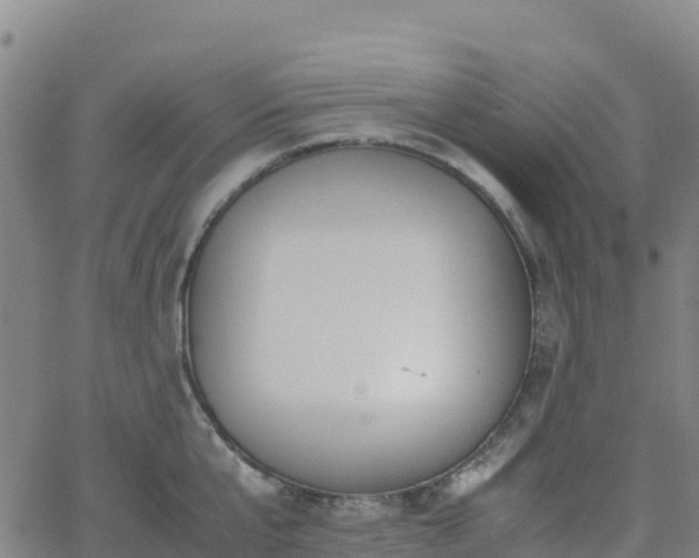 X0000062670807200512230945