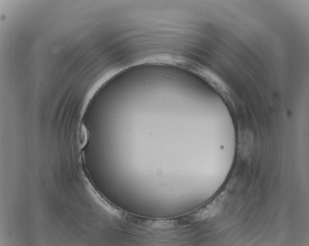 X0000062670808200512230945