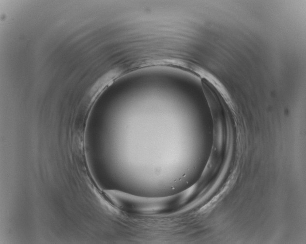 X0000062670809200512230945