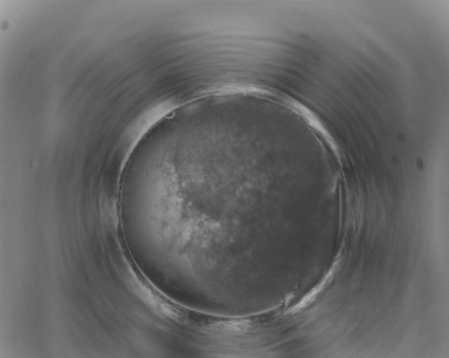 X0000062670810200512230945