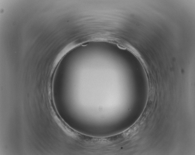 X0000062670811200512230945