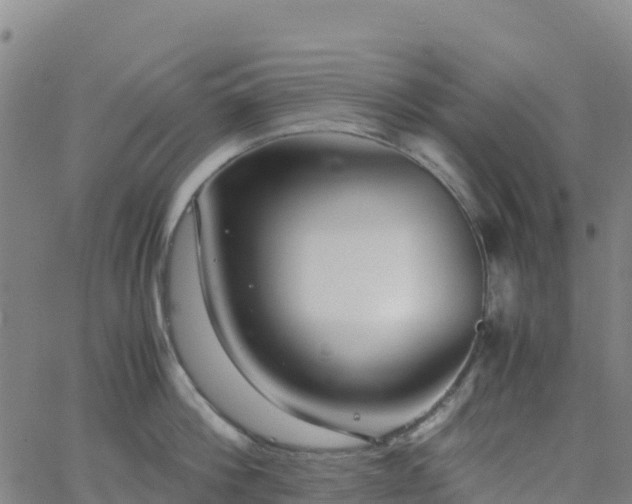 X0000062670812200512230945