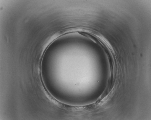 X0000062670813200512230945