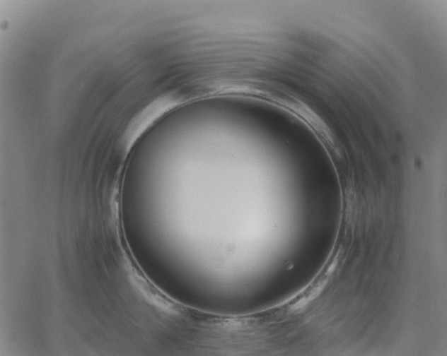 X0000062670814200512230945