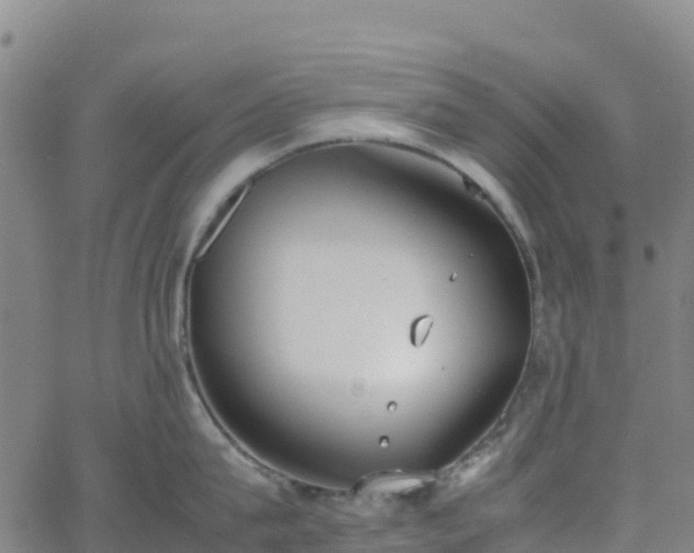 X0000062670815200512230945