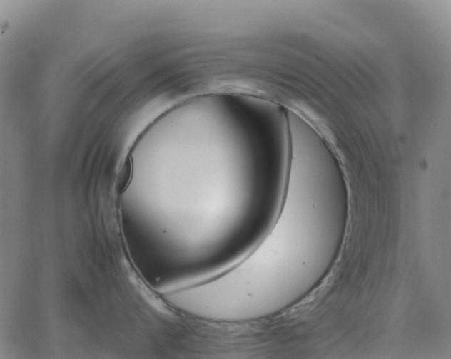 X0000062670816200512230945