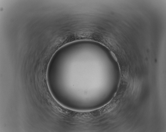 X0000062670817200512230944