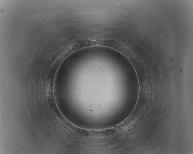 X0000062670818200512230944