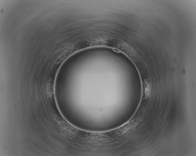 X0000062670819200512230944