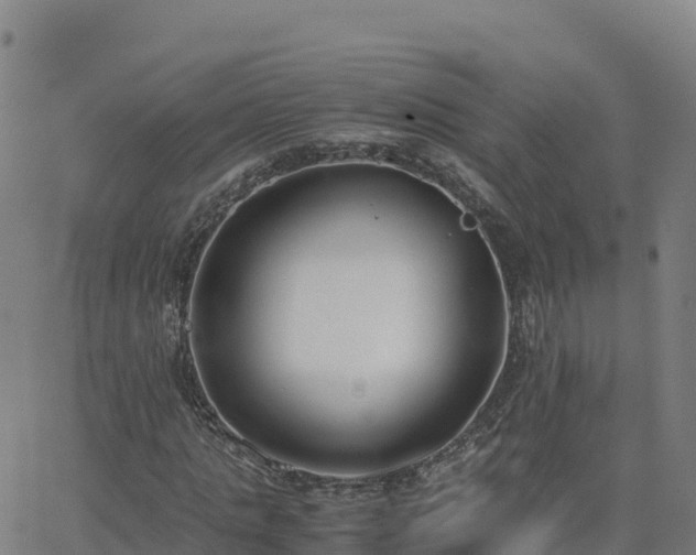 X0000062670821200512230944