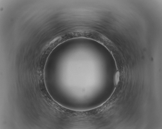 X0000062670822200512230944