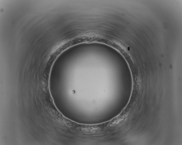 X0000062670823200512230944