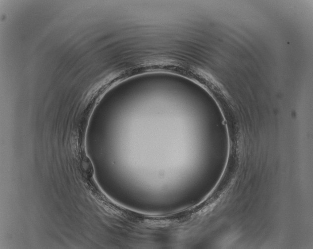 X0000062670825200512230944