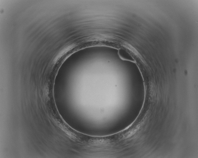 X0000062670826200512230944