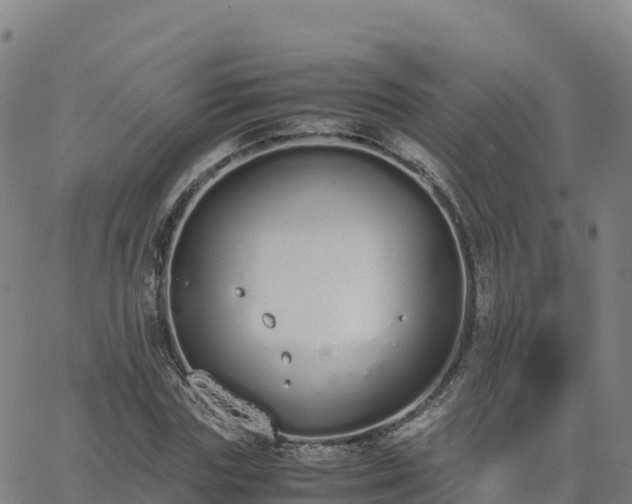 X0000062670827200512230944