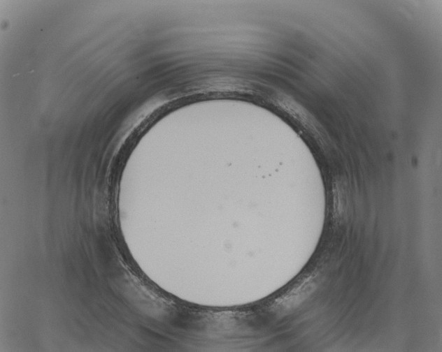 X0000062670828200512230944