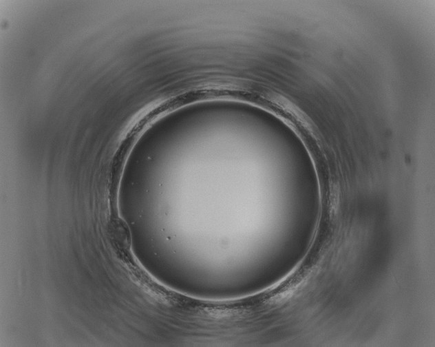 X0000062670829200512230944