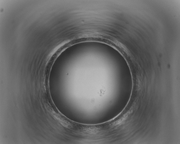 X0000062670830200512230944