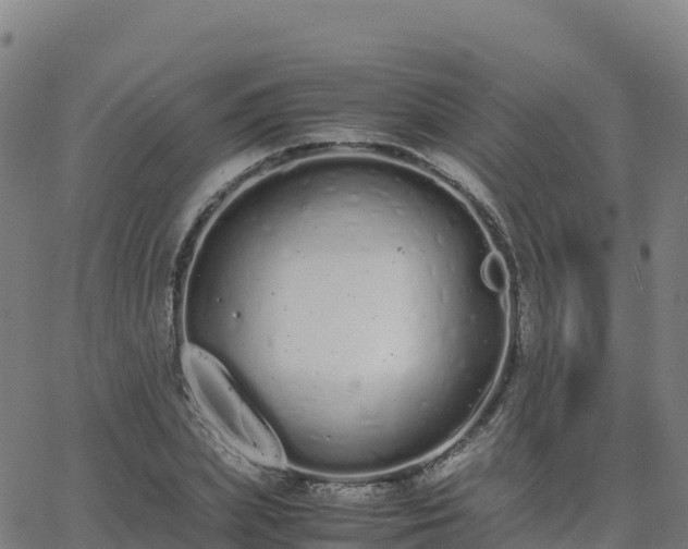 X0000062670831200512230944