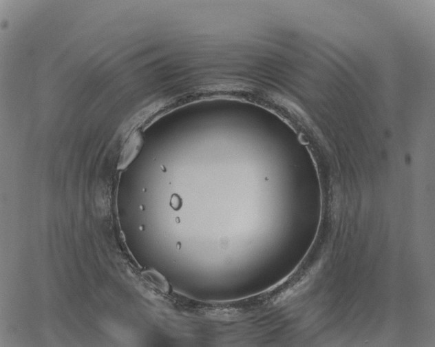 X0000062670833200512230944